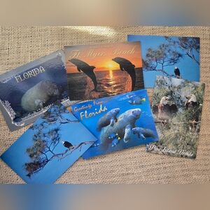 Vintage Animals of FLORIDA Postcards -6